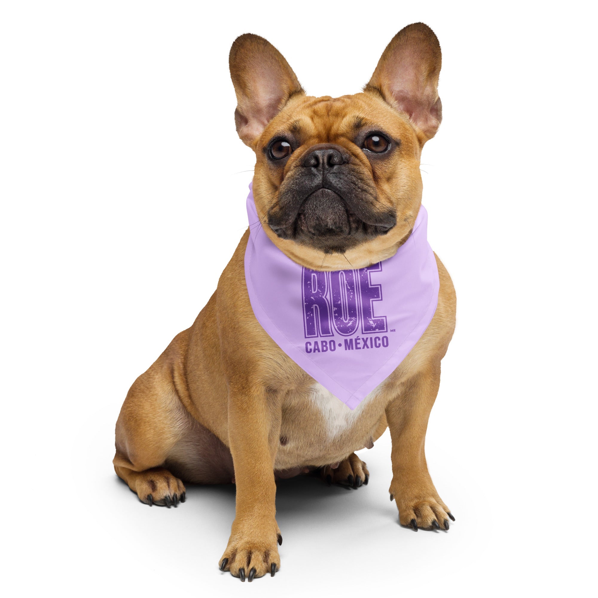 El Squid Roe for Pets